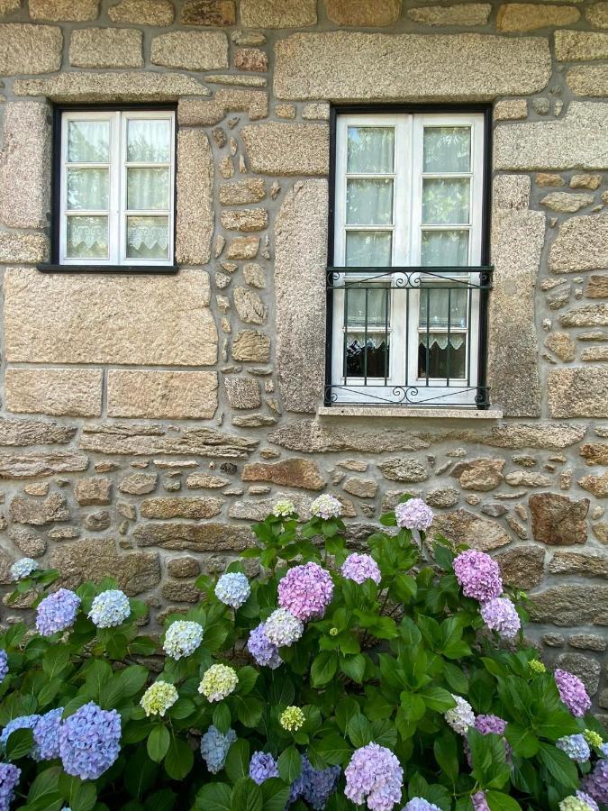 Casa Ana Rosa Hotel Arcos de Valdevez Eksteriør billede