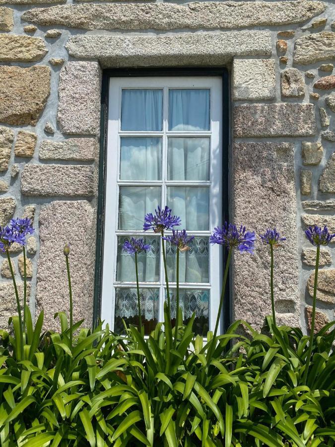 Casa Ana Rosa Hotel Arcos de Valdevez Eksteriør billede